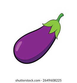 Eggplant sliced open with inside detail fresh veggie vector Vector illustration