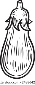 Ilustración vectorial de dibujo de línea de berenjena y rebanadas.