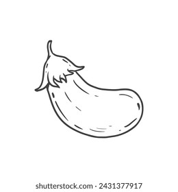 Eggplant solated on white background. Hand drawn Sketch, icon. Vegetable in doodle style. Vector illustration