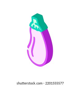 eggplant tasty isometric icon vector. eggplant tasty sign. isolated symbol illustration