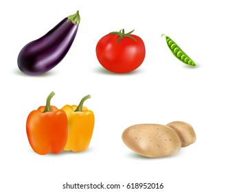 Eggplant, tomato, peas, paprika, potato vector illustration. Made with gradient mesh.