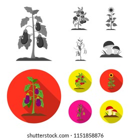 Eggplant, tomato, sunflower and peas.Plant set collection icons in monochrome,flat style vector symbol stock illustration web.
