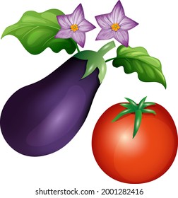 Eggpflanze und Tomate, Vektorgrafik