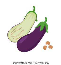 Eggplant vector flat illustration. Whole and halved eggplant and seeds isolated on white background. Packaging design element