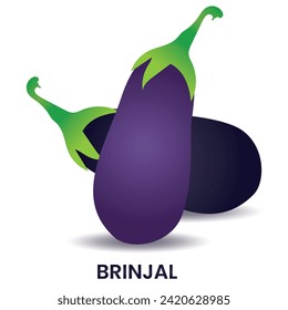 Vector de berenjena, icono y logotipo. Icono de la herida, vector. Ilustración vectorial vegetal.