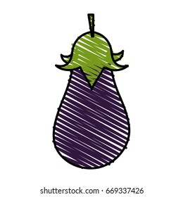 eggplant vector illustration