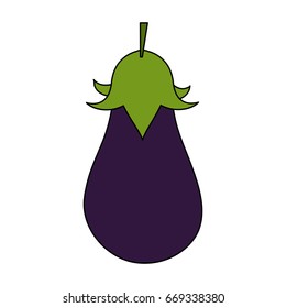 eggplant vector illustration