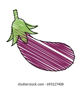 eggplant vector illustration