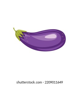 Eggplant vector illustration, eggplant flat icon