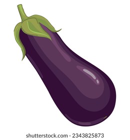 Planta de huevos. Ilustración vectorial en un estilo plano. Hortalizas moradas en un fondo blanco. Planta de berenjenas fresca, comida orgánica saludable. caricatura