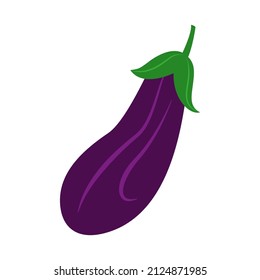 Eggplant. Vector illustration. Fresh vegetables.