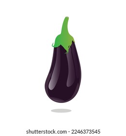 Eggplant vector illustration. Fresh vegetables, ripe fruit. Symbol, eggplant icon.
