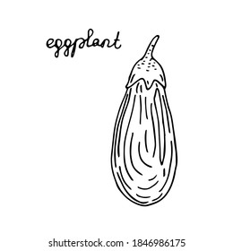 Planta de huevo, ilustración vectorial, esbozo de dibujo manual