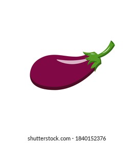Eggplant. Vector illustration isolated on white background. For the design of leaflets, flyers, coupons, shops and markets.