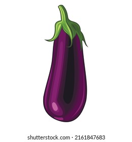 La berenjena. Ilustración vectorial. Aislado sobre fondo blanco.