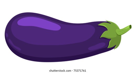 The eggplant. Vector illustration. Isolated on white background.