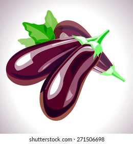 eggplant vector illustration. white background