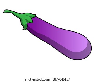 eggplant vector illustration,isolated on white background,vegetables top view