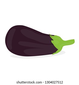 Eggplant vector isolated on white background.