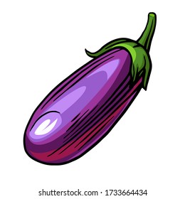 Planta de huevos.
El vector está aislado en un fondo blanco. Dibujo manual. Hortalizas de jardín.