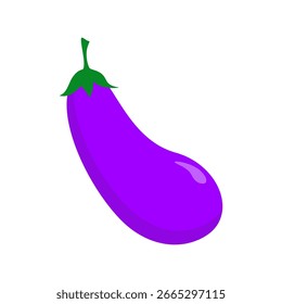 Eggplant vector isolated on white background. Flat vector illustration design