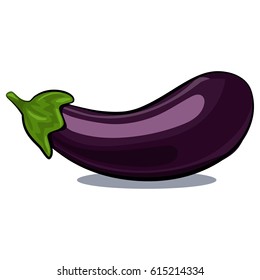 Eggplant vector isolated on white background. Hand drawn cartoon illustration vegetable. Eating healthy and vegan food.