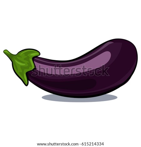 Eggplant vector isolated on white background. Hand drawn cartoon illustration vegetable. Eating healthy and vegan food.