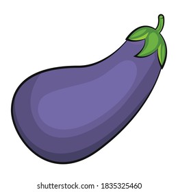 Eggplant vector isolated. Organic food vector illustration. Vegetable isolated. No background. Vegan food. Fruits vector illustration. Flat cartoon style.