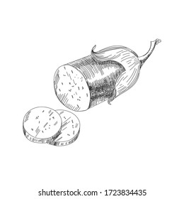 Eggplant vector logo design template. fresh vegetables, food or gardening hand draw illustration