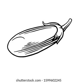 eggplant. Vector. Outline drawing of a vegetable on a white background. Sketch. Drawing marker on paper. Isolated object.