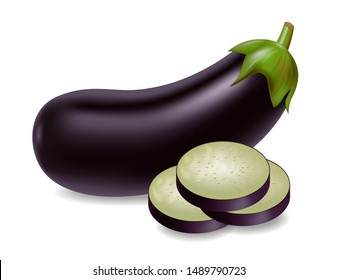 Eggplant vector realistic isolated on white 3d illustration