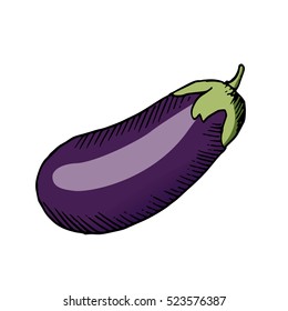 eggplant vector scetch