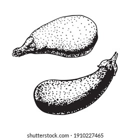 Eggplant vector sketch icon isolated on background. Hand drawn Eggplant icon. Eggplant sketch icon for infographic, website or app
