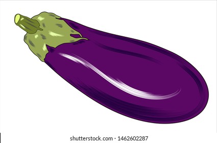 Eggplant, vegetable flat icon. One eggplant. isolated on white. Symbol, logo. Flat style. vector