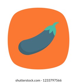 eggplant   vegetable   food 
