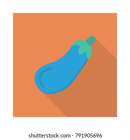 eggplant vegetable food 