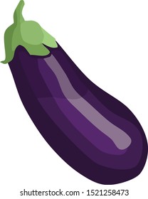 Eggplant Vegetable Food Vector Illustration