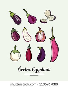 Eggplant vegetable groceries vintage vector set. Hand drawn isolated fresh aubergine. Food line hand drawn illustration. Eggplant vegetarian poster, restaurant menu, logo, icon, sticker, farm shop.