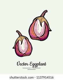 Eggplant vegetable groceries vintage vector. Hand drawn isolated fresh pink aubergine. Food line hand drawn illustration. Eggplant vegetarian poster, restaurant menu, logo, icon, sticker, farm shop.