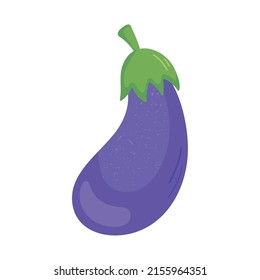 eggplant vegetable icon on white background