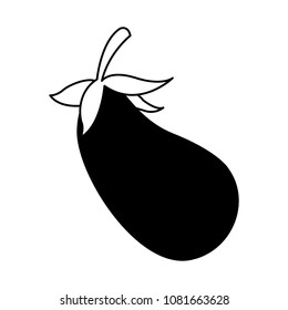 Eggplant vegetable isolated on black and white colors