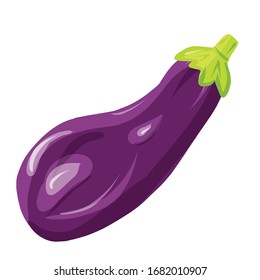 Eggplant vegetable isolated on white background. Vecrot illustration in cartoon realistic style. Ingredient for salad, meals. Design for print, menu, market products, advertisement, encyclopedia