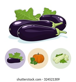 Eggplant Vegetable Isolated on a White Background , Set of Three Round Colorful Icons  Eggplant, Pumpkin, Zucchini, Icons Edible Fruits, Vector Illustration