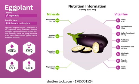 Eggplant vegetable and its nutritional properties -Vector illustration