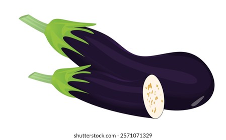 Eggplant vegetable on white background, vector