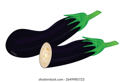 Eggplant vegetable on white background, vector	