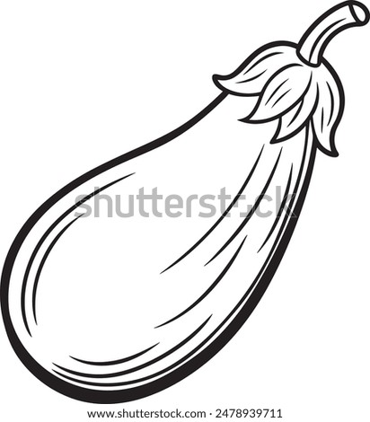 Eggplant Vegetable Vector for Coloring Pages for Kids
