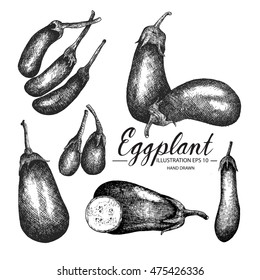 Eggplant - vegetable vector element collection via hand drawn illustration. Ink and pen sketch set.