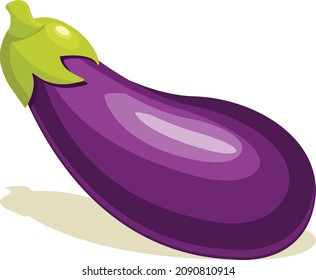 eggplant vegetable. vector illustration. healthy fresh and sweet food and fruit design.