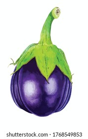 Eggplant vegetable in vector on a white background